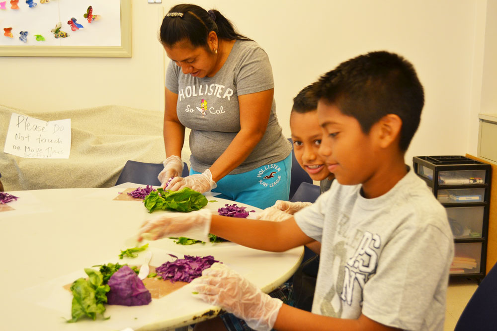 2015-7-24 Advocacy CookShop-3w