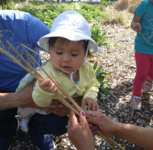 Earth Day Activities