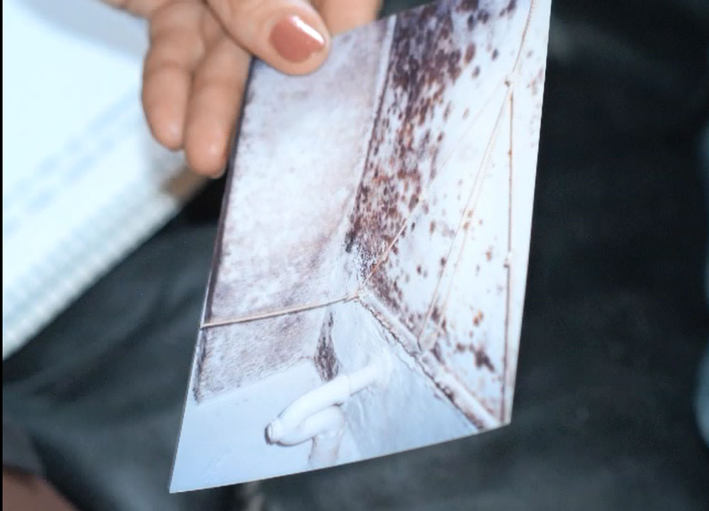 A photo of the mold in Elizabeth's bathroom
